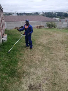 Innocent Garden Services And Tree Fellng