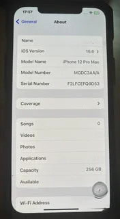 iPhone 12 pro max 256g