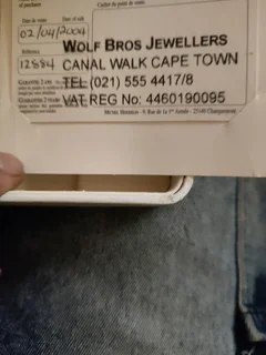 Michelle Herbelin mens watch