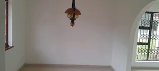 Are you looking for gud paints call as today