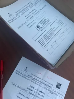 Isizulu Language Specialist, Research Assistant,  History and Cultural expert, Tutor &amp; Educator.