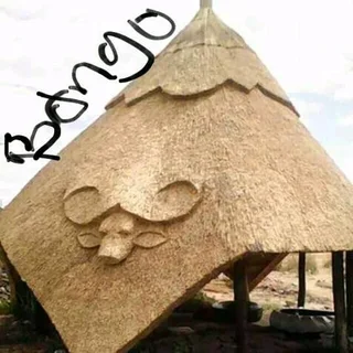 Thatch roof installation and repairs