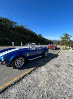 Stunning Blue AC Cobra  with a Shamrock Chassis for sale