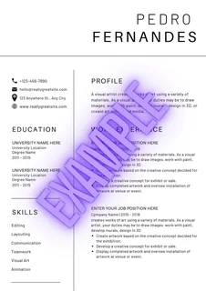 Do you want to land your dream job? Get the best CV/Resume possible!