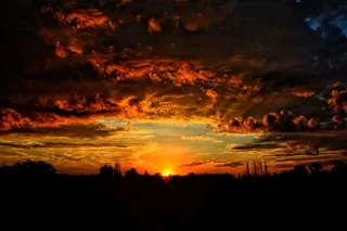 Psychic herbalist Omar 084-049-6064