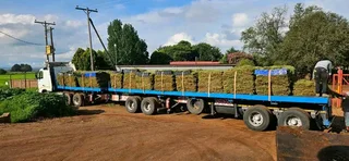 Grass installations No deposits upfront you pay when the job is done ✅