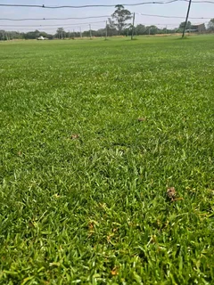 Grass installations No deposits upfront you pay when the job is done ✅