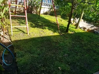 Grass installations No deposits upfront you pay when the job is done ✅