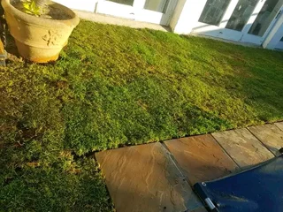 Grass installations No deposits upfront you pay when the job is done ✅