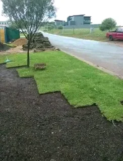 Cheapest roll on lawn installations No deposits upfront you pay deposit on delivery