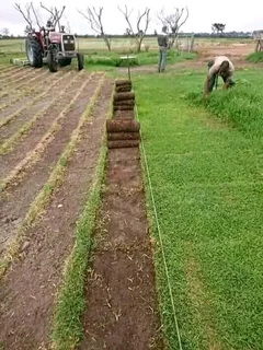 Cheapest roll on lawn installations No deposits upfront you pay deposit on delivery