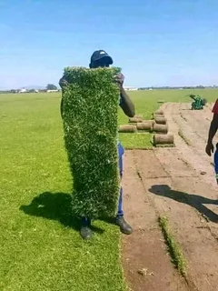 Cheapest roll on lawn installations No deposits upfront you pay deposit on delivery