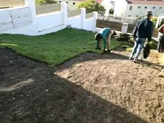 Cheapest roll on lawn installations No deposits upfront you pay deposit on delivery