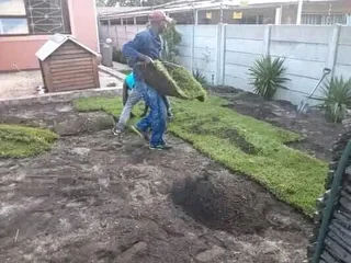 Cheapest roll on lawn installations No deposits upfront you pay deposit on delivery