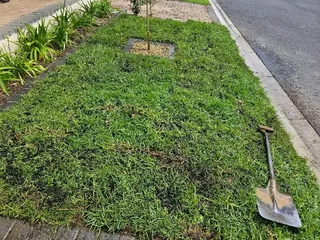 Cheapest roll on lawn installations No deposits upfront you pay deposit on delivery