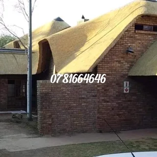 Thatch roof repairs