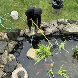 Pond cleaner
