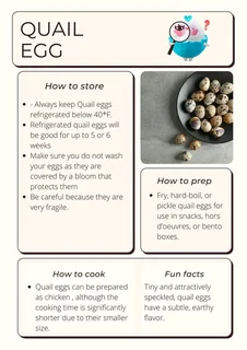 Quality Cortunix Quail eggs for sale (fertilised or refrigerated)