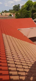 Tree felling and renovation