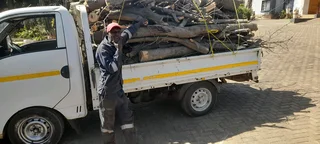 Tree felling and renovation