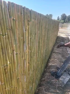 Bamboo fencing and wooden pannels.