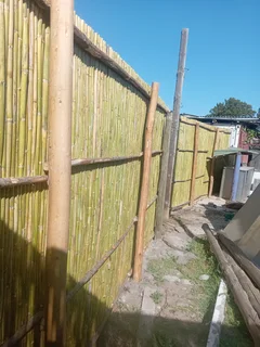 Bamboo fencing and wooden pannels.