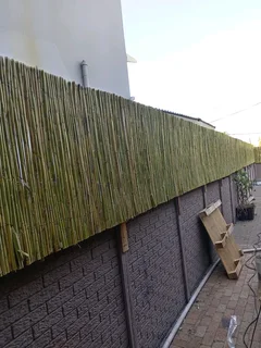 Bamboo fencing and wooden pannels.