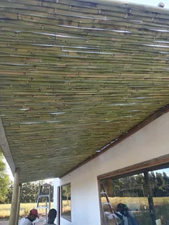 Bamboo fencing and wooden pannels.