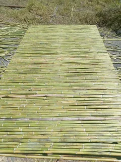 Bamboo fencing and wooden pannels.