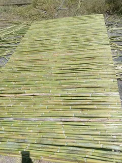 Bamboo fencing and wooden pannels.