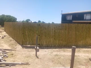 Bamboo fencing and wooden pannels.