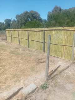 Bamboo fencing and wooden pannels.