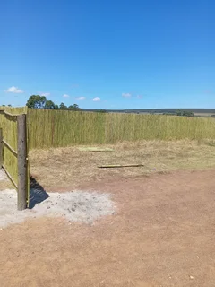 Bamboo fencing and wooden pannels.