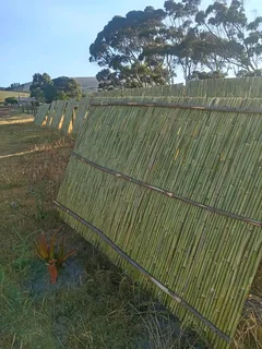 Bamboo fencing and wooden pannels.