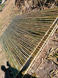 Bamboo fencing and wooden pannels.
