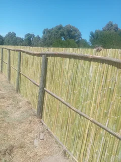 Bamboo fencing and wooden pannels.