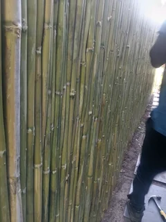 Bamboo fencing and wooden pannels.