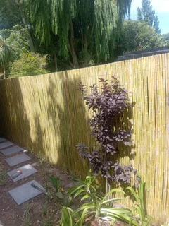 Bamboo fencing and wooden pannels.