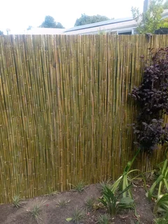 Bamboo fencing and wooden pannels.