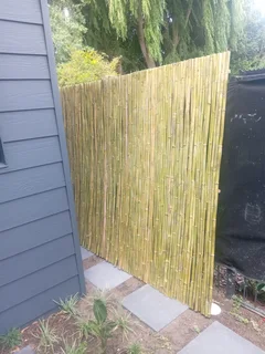 Bamboo fencing and wooden pannels.