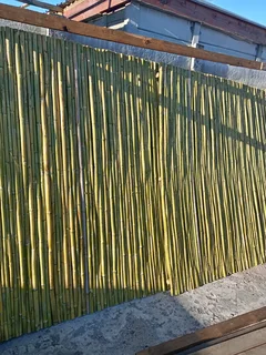 Bamboo fencing and wooden pannels.