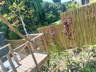 Bamboo fencing and wooden pannels.