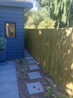 Bamboo fencing and wooden pannels.