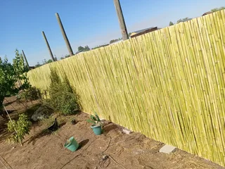 Bamboo fencing and wooden pannels