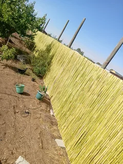 Bamboo fencing and wooden pannels