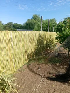 Bamboo fencing and wooden pannels