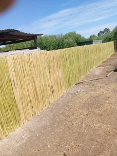 Bamboo fencing and wooden pannels