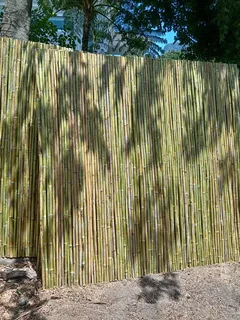 Bamboo fencing and wooden pannels