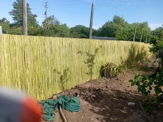 Bamboo fencing and wooden pannels.
