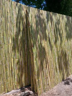 Bamboo fencing and wooden pannels.